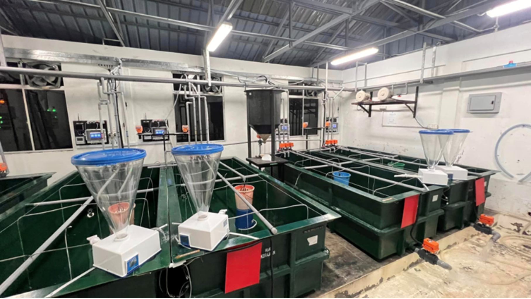 IMRONS – Intelligent Nursery System (Phase 1–4)